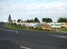 tapumotorcamp2