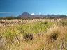 mtngauruhoe