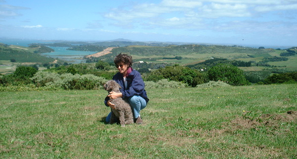 trig_hill_view