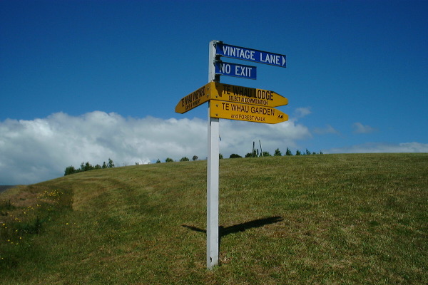 tewhauroadsign