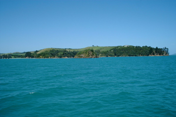 waiheke8