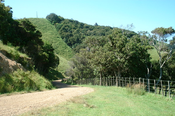 waihekese10