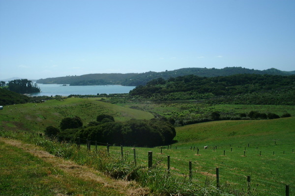 waihekese3