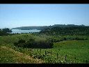 waihekese3