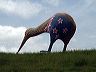 giantkiwi